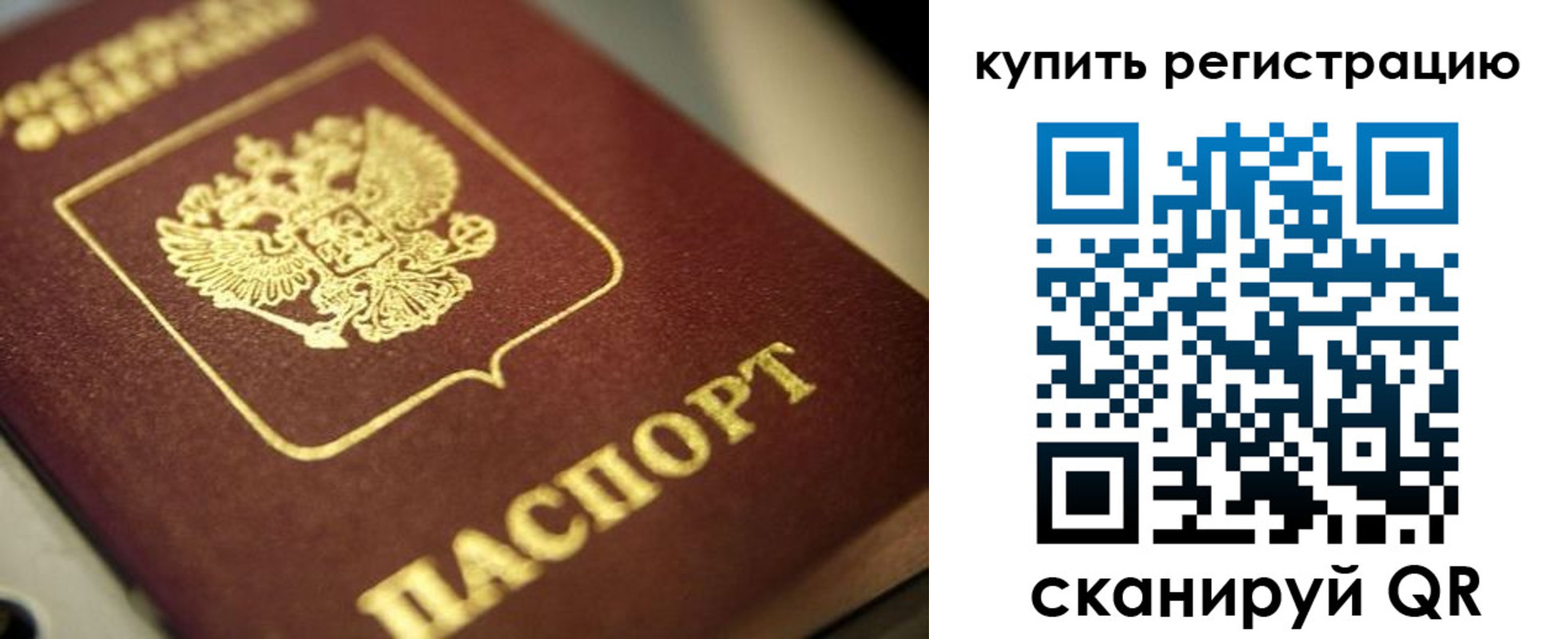 прописка для школы в Ржеве